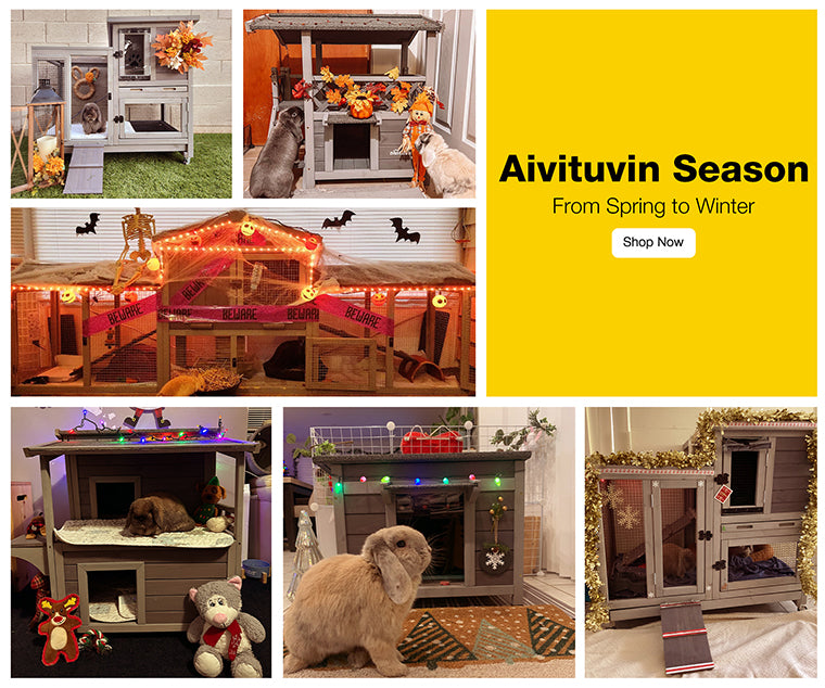 Aivituvin Outdoor Rabbit Hutch | Wire Bottom Rabbit Cage