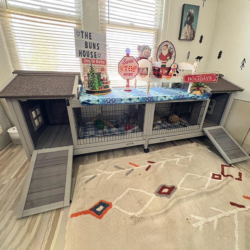 Cage Setup Indoor Rabbit Playpen Ideas Aivituvin Indoor Rabbit