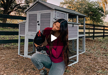 I FINALLY have a chicken coop!