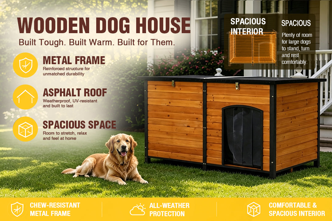 Dog House