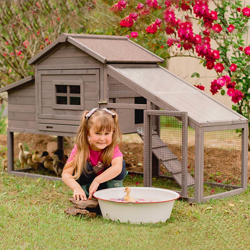 chicken coop for 4 chickens