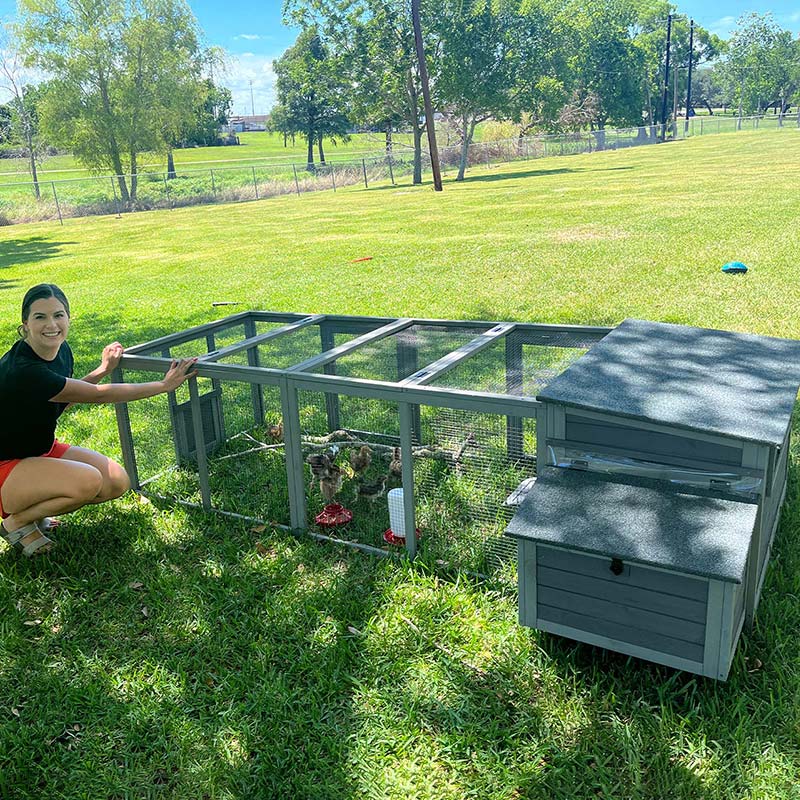 large chicken coops for sale
