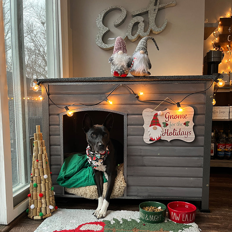 Aivituvin-AIR73 Wooden Heavy Duty Dog Crates House| Strong Iron Frame