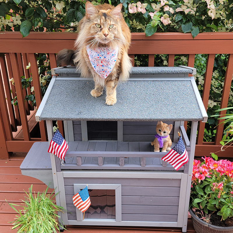 CAT HOUSE