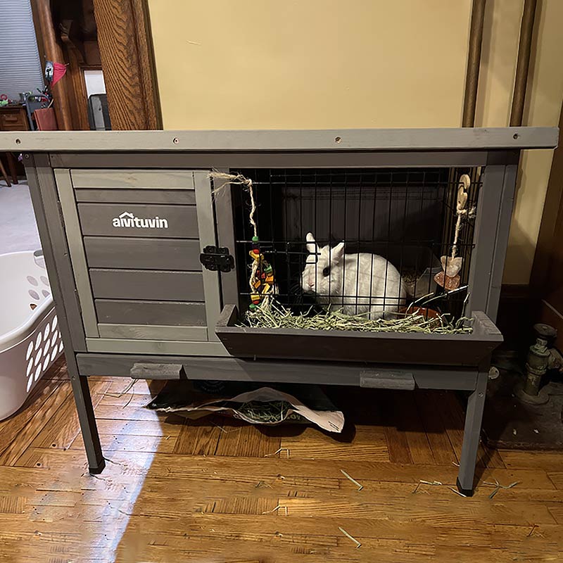 Outdoor rabbit 2025 hutch flooring