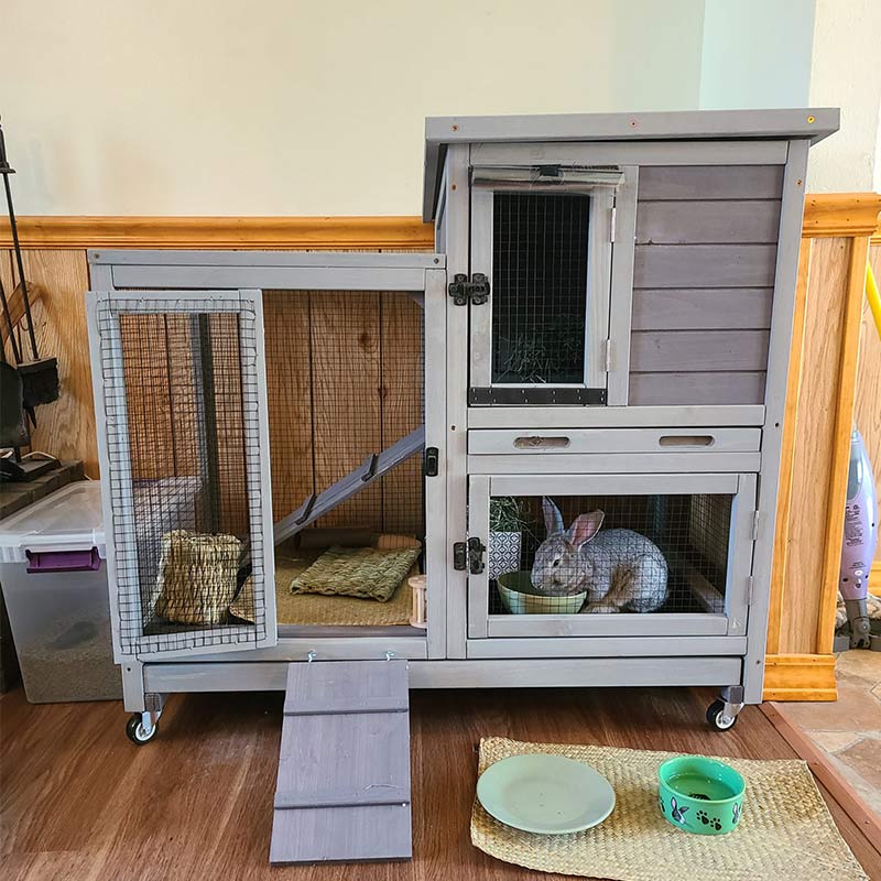 Morgete Wooden Rabbit Hutch with Two Slide Tray Outdoor Bunny Cage Indoor Guinea Pig Habitat Pet House for Small Animals - Gray