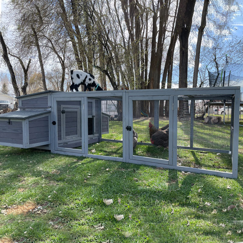 CHICKEN COOP WITH BIG RUN