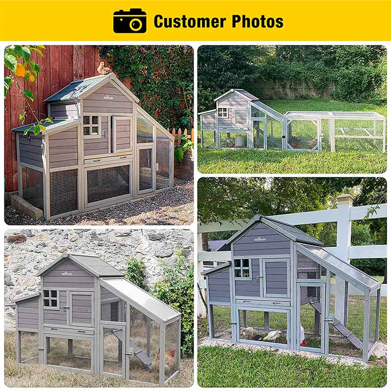 Morgete Chicken Coop for 2-4 Hens, Wood Hen House with Nest Box
