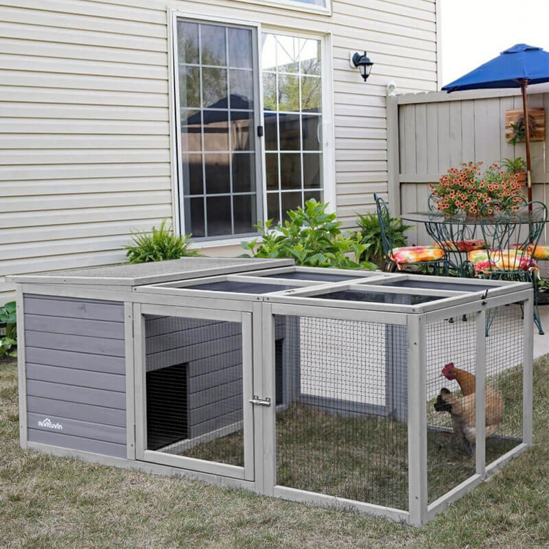 small duck coop