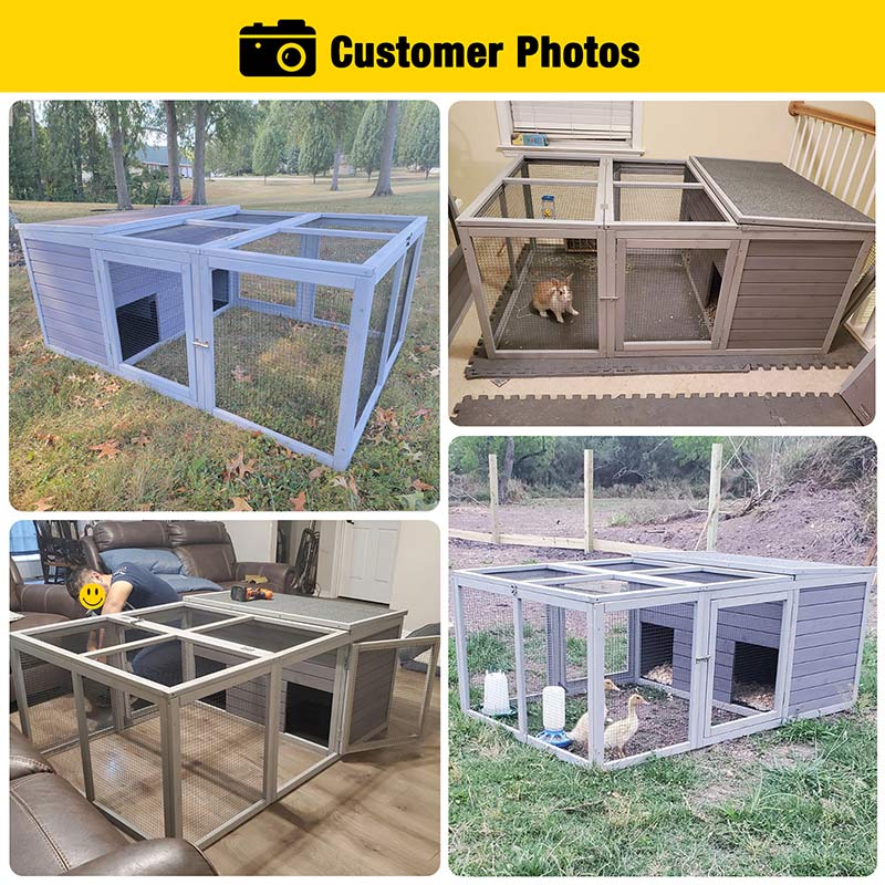 Chicken Coop With Run