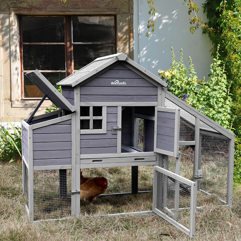 inexpensive chicken coop