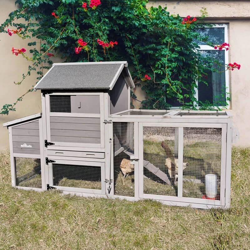 cheap chicken house