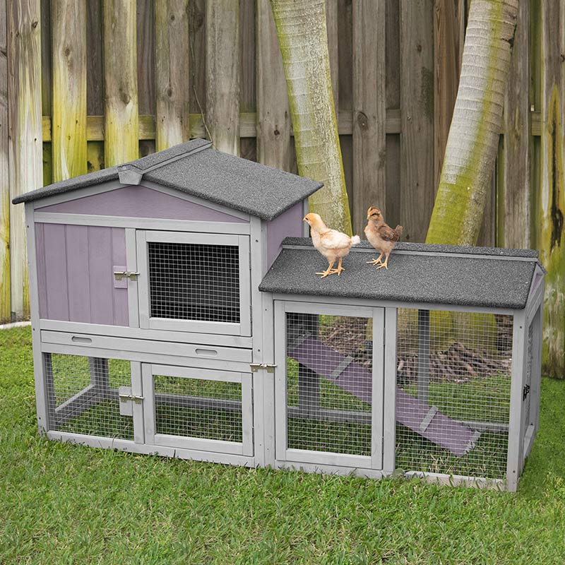 Aivituvin-AIR002 Expandable Chicken Coop | Easy Combine With Second Coop for 1-2 Chicks