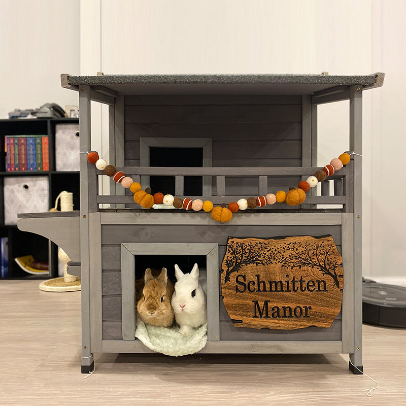 indoor rabbit hutch