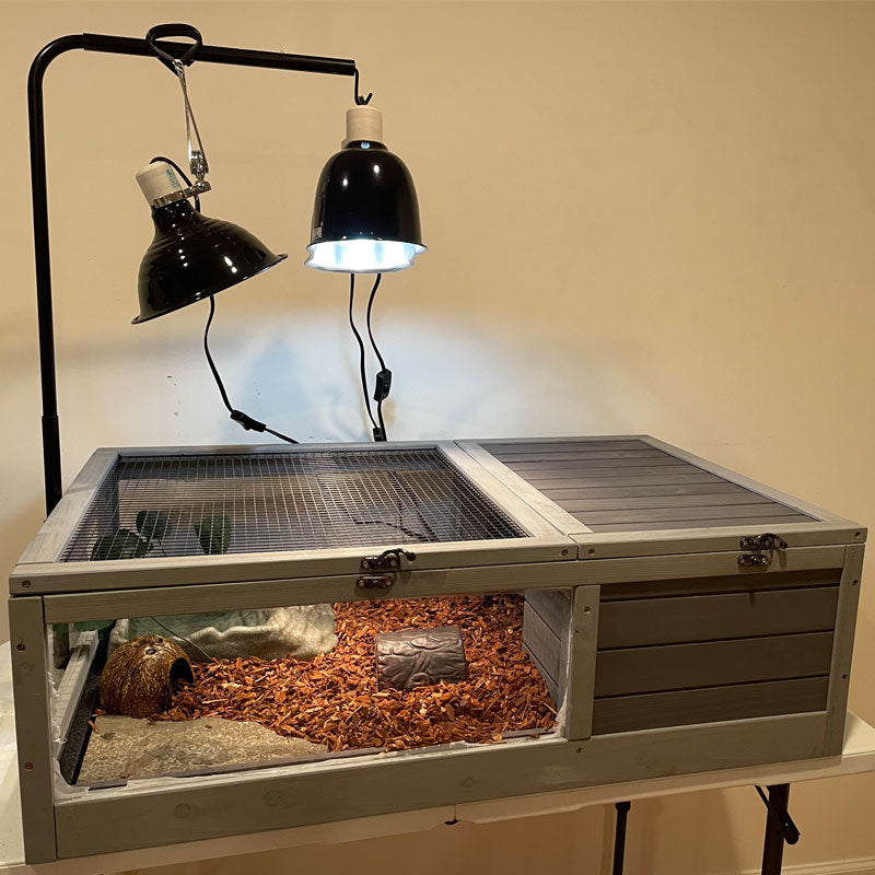 Tortoise House Tortoise Table Lighting TORTOISE TABLE SETUP WITH