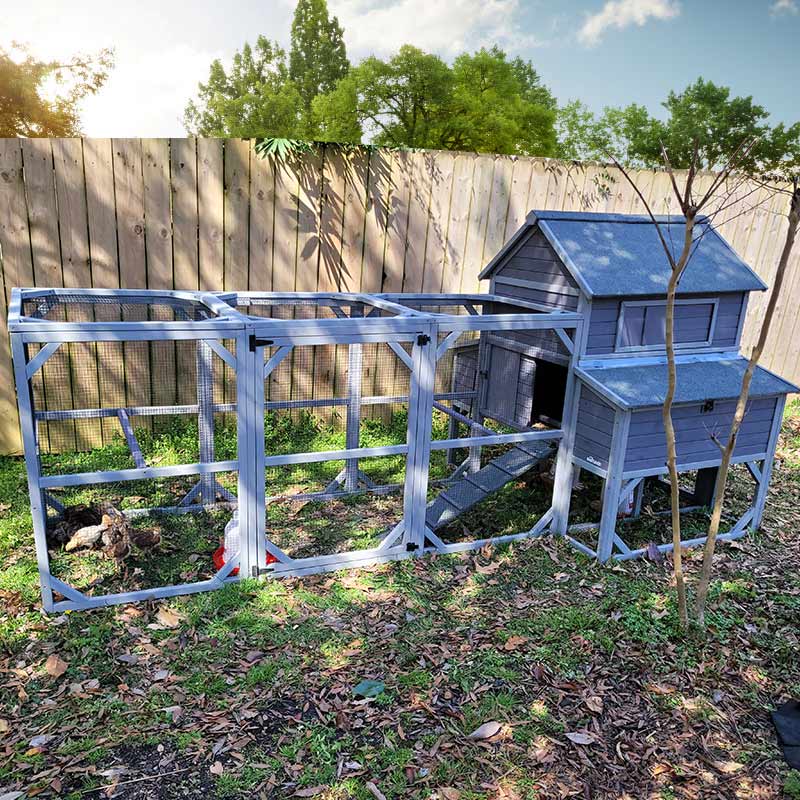large chicken coop