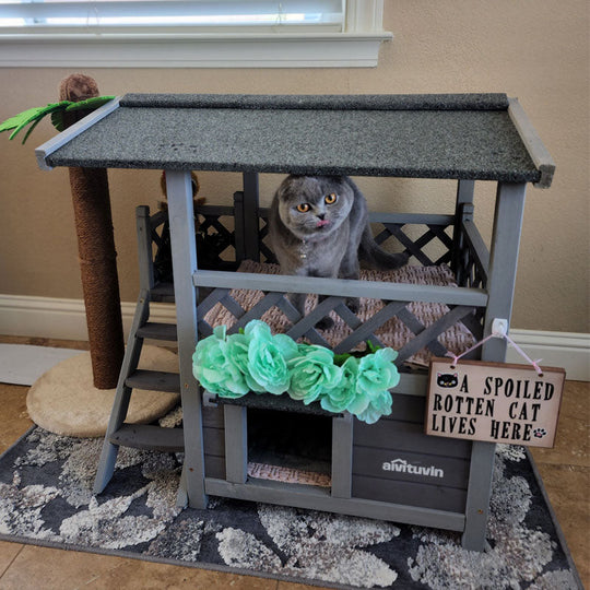 CAT HOUSE