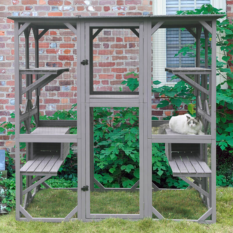 Outdoor Cat Enclosure - VisualHunt