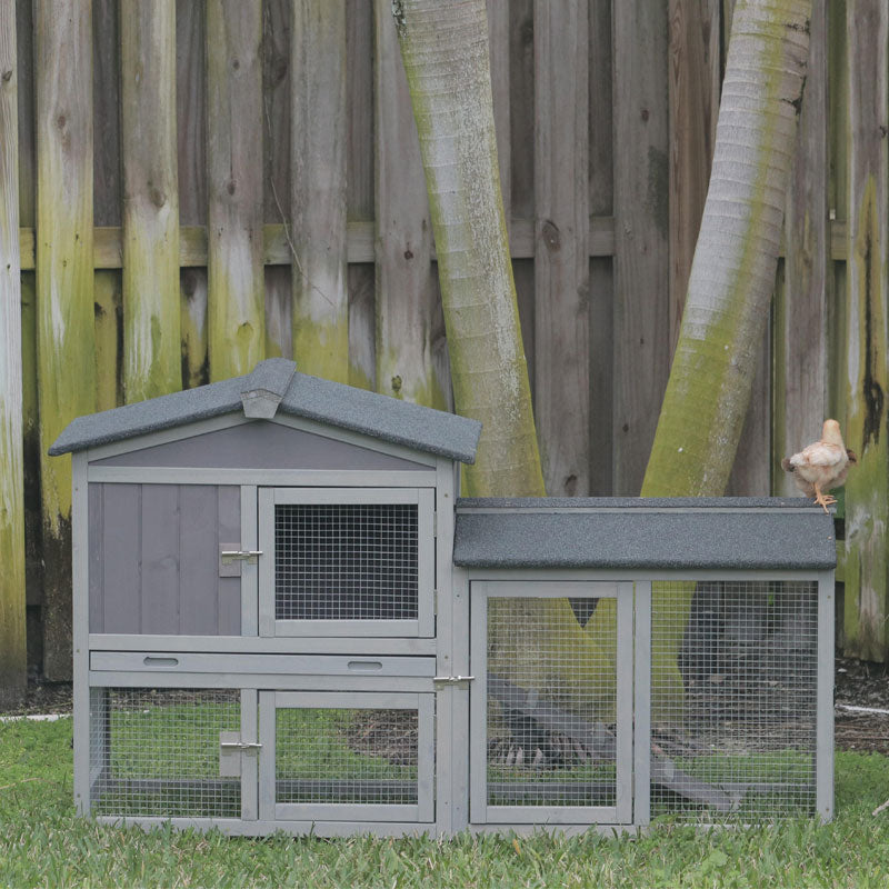 simple chicken coop
