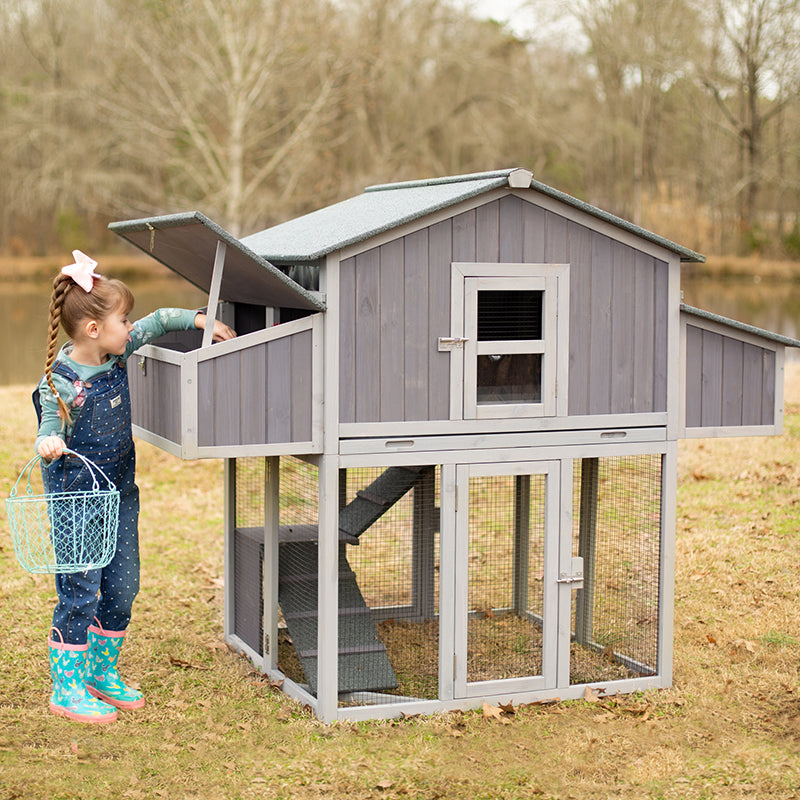 Aivituvin Foldable Chicken Coop AIR66, Fast-Assembly Folding Chicken House for 3–4 Chickens