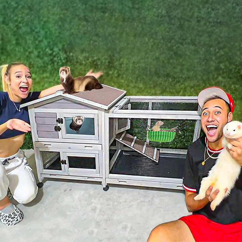 Aivituvin-AIR019 Two Story Guinea Pig | Ferret Cage On Wheels
