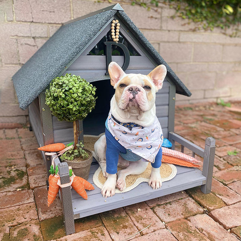 Aivituvin-AIR80 AIR81Outdoor Dog House with Porch| Strong Iron Frame