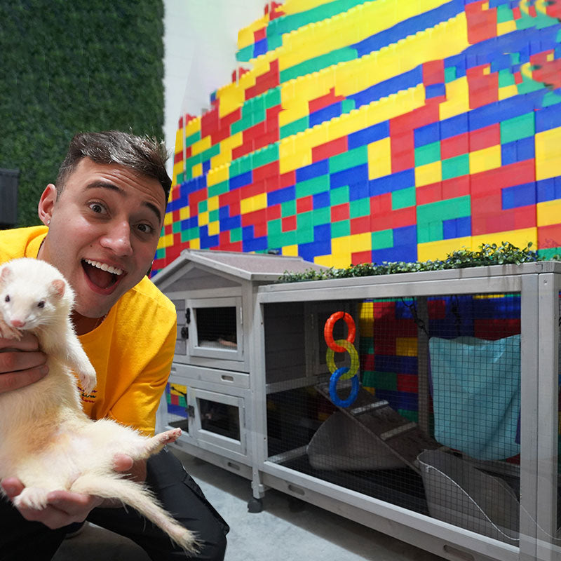 Aivituvin-AIR019 Two Story Guinea Pig | Ferret Cage On Wheels