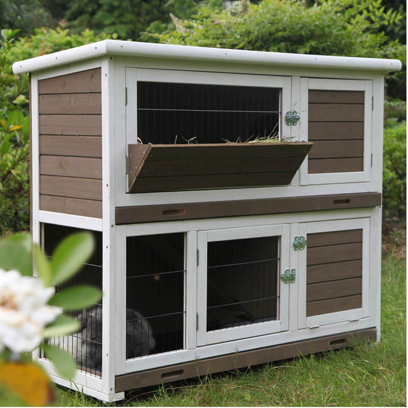 house for guinea pig