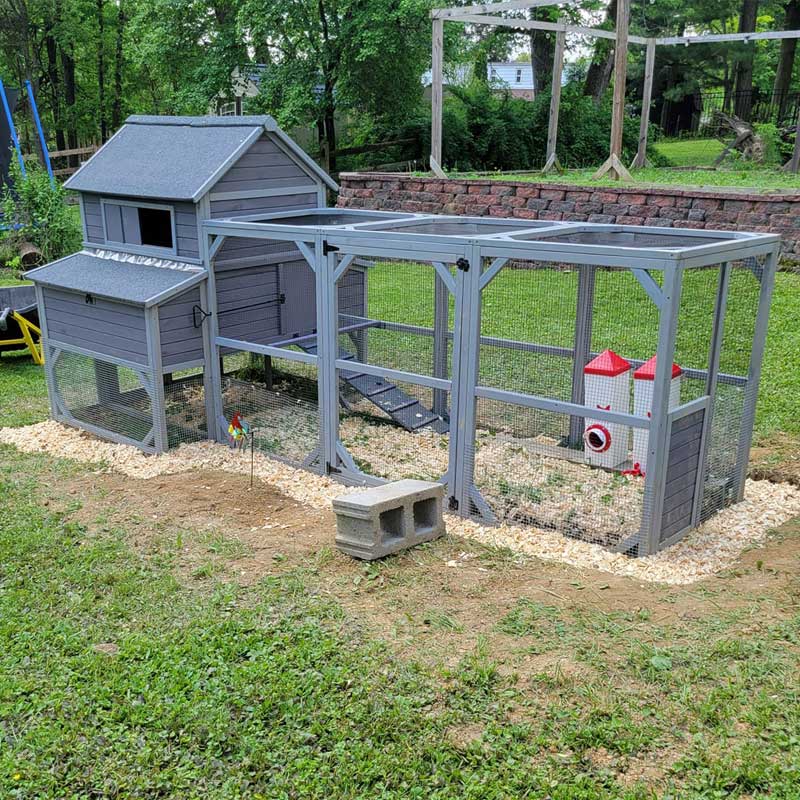 Morgete 137'' Chicken Coop for 8 - 10 Chickens, Large Hen House with 2 Nest Box, Wood Poultry Cage with 6 Perches
