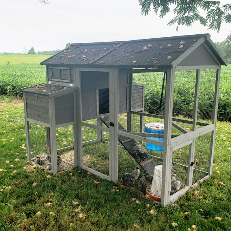 chicken coop run