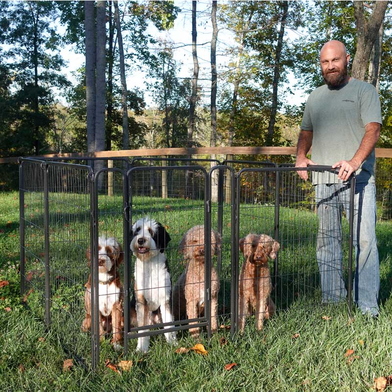 Morgete 31'' Foldable Dog Playpen Heavy Duty Metal Puppy Fence with Door Gate Pet Exercise Pen Outdoor Kennel for Small/Medium/Large Dogs - 8 Panels