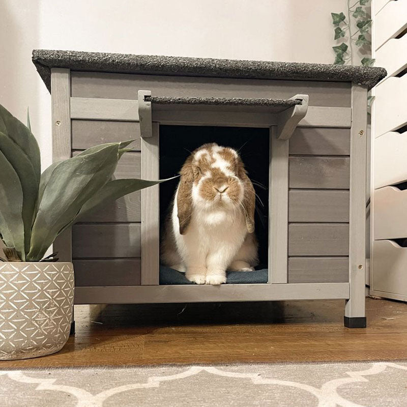 Aivituvin AIR12 Indoor Bunny House | Small Wooden Rabbit Hutch