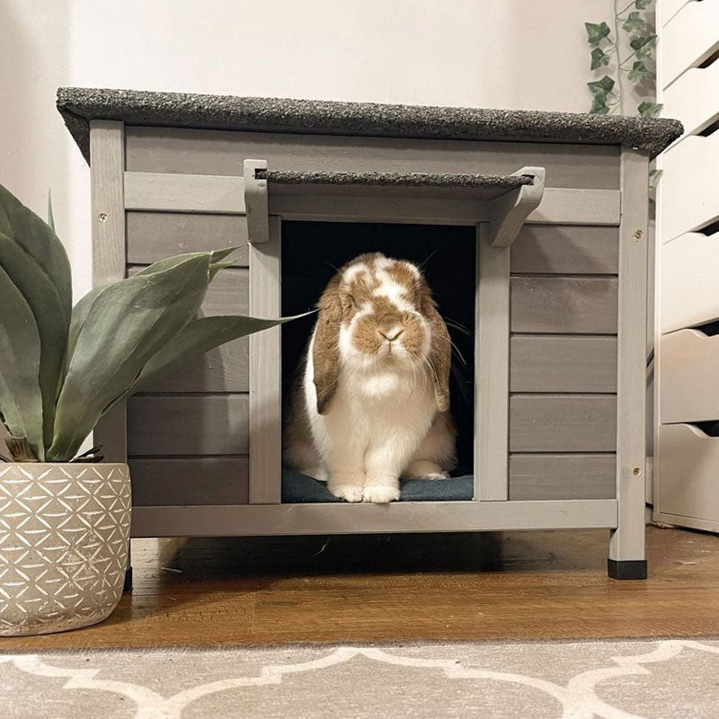 Bunny House 