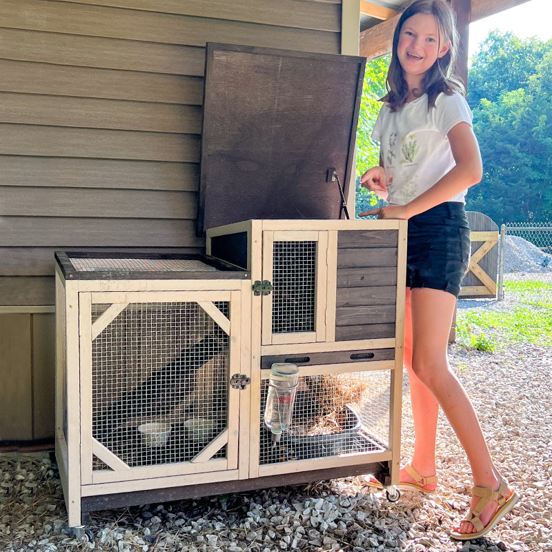 indoor rabbit hutch